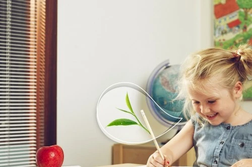 Ruggengraat voor het klimaat: Hoe maken we onze scholen sneller duurzaam?’
